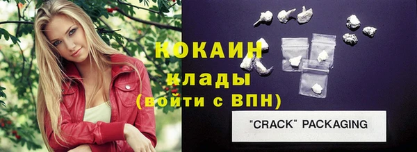 mix Бородино