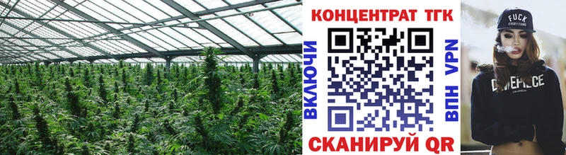 как найти Лысьва ТГК гашишное масло