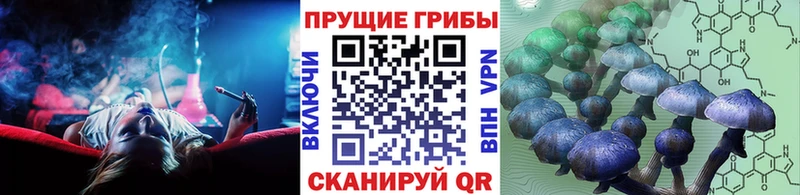 Псилоцибиновые грибы мицелий Лысьва